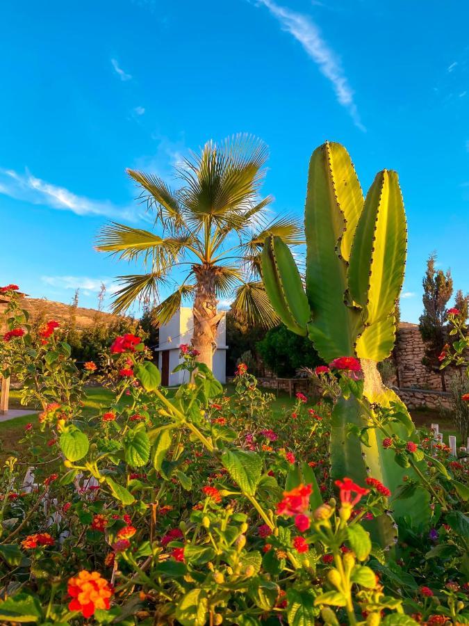 Sunset Moulay Bouzerktoun Villa